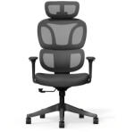 FlexiSpot Ergonomikus irodai szék BS5, fekete - hálós háttámla, állítható karfák és modern megjelenés (BS5B)