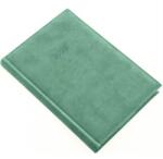 Realsystem Határidőnapló 2026 napi A/5 REAL Bolero világoszöld (5322-48)