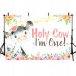  Háttér Falikép Születésnapra Banner 210x150cm (JO532)