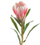  Virág 272 rózsaszín (397493)