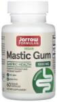 Jarrow Formulas Jarrow Formulas, Mastic Gum, Мастика, 60 капсули
