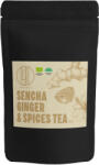 BrainMax Pure Pure® Sencha Ginger & Spices, Сенча с джинджифил и подправки, БИО, 50 гр. Обем: 50 г