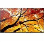 NEC MultiSync M982 60006059