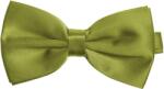 Korntex KXBTIE / Csokornyakkendő - zöld Univerzális (76BTIE03399)