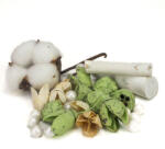  Terméscsomag kincsgyűjtő - menta 0776