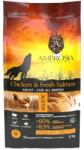 AMBROSIA Adult All Breeds Chicken & Fresh Salmon 2 x 12 kg