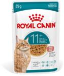 Royal Canin AGEING 11+ Gravy darabok szószban idősebb, mint 11 éves macskák számára 36 x 85 g