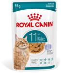 Royal Canin AGEING 11+ Jelly eledel zselében 11 év feletti öregedő macskák számára 24 x 85 g