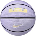Nike Signature Playground - L James