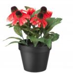 IKEA Fejka mesterséges szobanövény Echinacea 104.195. 87 piros (211969)
