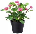 IKEA Mesterséges Szobanövény Margaréta (10395336) (10395336)