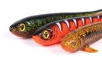 FOX RAGE New super slick shad colours "super slick shad 23cm/9"" x2 uv pike (NSC165) - nextfish