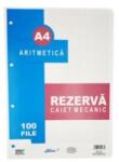 FARA MARCA Rezerve caiet mecanic A4 100 file/set, matematica (HH104110)