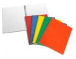 Aurora Caiet cu spirala, A4, 60 file - 80g/mp, coperti carton cretat, AURORA (2960K)