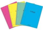 Aurora Caiet cu spirala, A4, 80 file - 70g/mp, 4 perforatii, coperta PP, AURORA College (12980xPP)