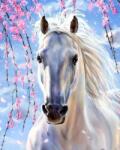NORIMPEX - Puzzle Pictura cu diamant: O iapa alba 30x40cm - 1 - 39 piese