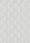 Erismann Világosszürke geometrikus háló mintás tapéta (10524-31) (10524-31)