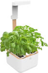 Véritable Botaneo + 2 umpluturi cu ierburi