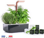 Véritable SMART cu control al luminii - negru + 4 rezerve de plante
