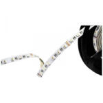 Barthelme (51542428) LED csík 24 V 5000 mm RGBW 5 m (51542428)