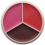 Anastasia Beverly Hills Magic Touch BERRY/ROSE 9 g