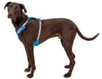 Ruffwear Hi & Light hám, Blue Dusk L/XL (30821-407LL1)