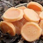 Rasco PREMIUM csirkehúskorongok 80 g