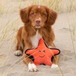 Beco Pets Beco Rough and Tough kutyajáték - Csillag, L (PF-754885)