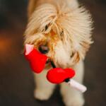 P. L. A. Y Kutya játék P. L. A. Y. Szív