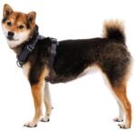 Ruffwear Front Range® Harness hám, Basalt Gray XS (30503-042S1)