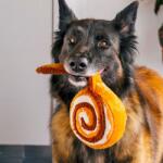 P. L. A. Y Kutya játék P. L. A. Y. Fahéjas csiga