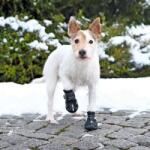 TRIXIE Kutyacipő - WALKER ACTIVE 2 db, S-M (PF-19462)