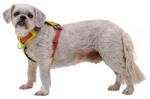 Ruffwear Hi & Light hám, Lichen Green S (30821-315S)