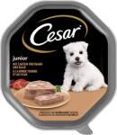Cesar CESAR Junior tálca 150 g - teljes értékű nedves táplálék kiskutyáknak, pulykával és borjúhússal, pástétom formájában