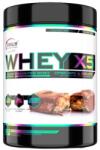 GENIUS NUTRITION - Whey X5 - 900 G