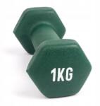 Myga Dumbbell fitness súlyzók 1kg (RY1709)