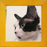 Marek & Darek Keret felakasztásra vagy elhelyezésre kész 20X20 fa 3 cm (5904996597030)