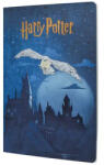 Paperblanks fűzött füzet, Escape to Hogwarts, sima, A4, Harry Potter (CBD6566)