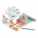 Vilac Hangszer szett, A világ állatai (7114)