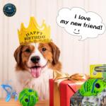 GetandLove Kutyalabda, Interaktív, Tüskés, Hanglabda, 14 cm, 3 Hangcső, Erős, Fogtisztító (NDP202411GR14)