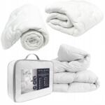  Hagyományos egész éves paplan szett 200x200 cm. 2x 50x60 cm-es párna (Kołdra pojedynczaECONOMY LINE 200x200+2x50x60)