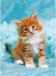 NORIMPEX - Puzzle Pictura cu diamant: Pisicuta cu par roscat pe fond albastru 30x40 cm - 1 - 39 piese