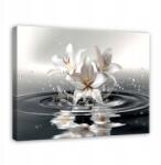 Wallarena Hálószoba Konyha Nappali Virágok Modern Vászon Falikép 100x70 (Obraz Na Ścianę Do Sypialni PP15288O1)