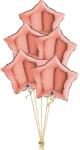Balloons4party Buchet 5 stele rose gold heliu