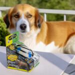 GetandLove Kutyalabda, Interaktív, világító, vicces, erős, 14 cm (NDP202411Wh14)