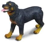 CollectA COLECTA Rottweiler (M1188189) Figurina