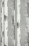 Rasch Szürke alapon nyirfa mintás tapéta (285420) (285420) - allegro