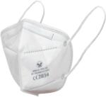 ČERVA EXPORT IMPORT a. s FF NAAB FFP2 XGM-95 / Összecsukható FFP2 légzésvédő (0701023699999)