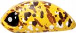 Lucky John ékszíjas wobbler Haira Tiny Plus One 33LBF 3, 3cm 506 (4750701904416)