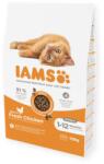 Iams for Vitality macskaeledel friss csirkével 10 kg